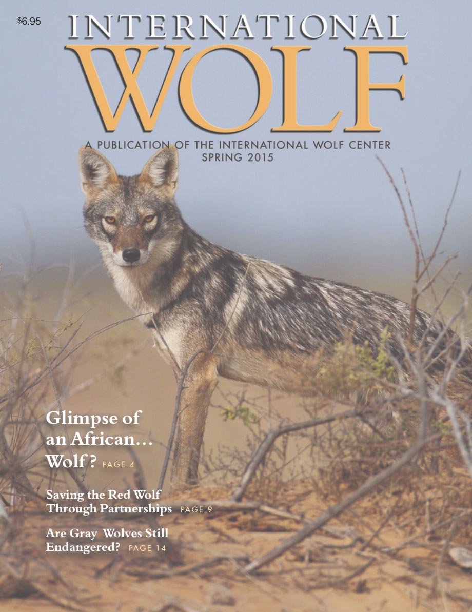 International Wolf cover